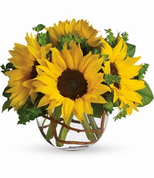 Sunny Sunflowers from Backstage Florist in Richardson, Texas